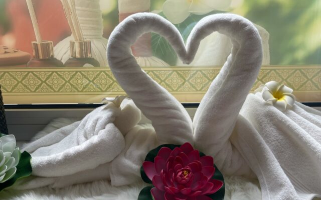 swans2